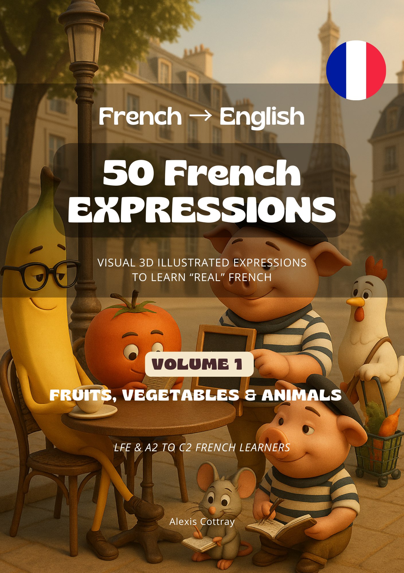 French Expressions Book Cover